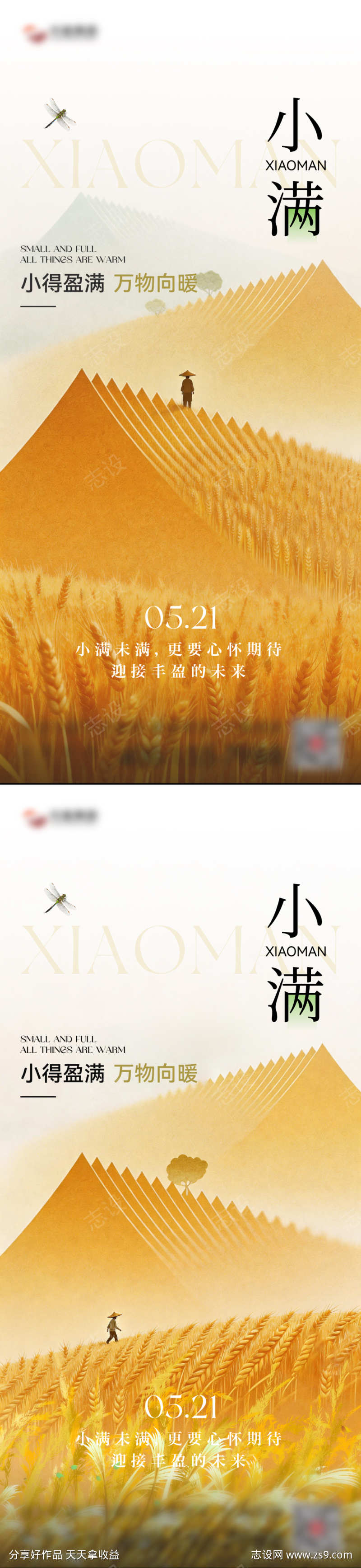 小满节气海报