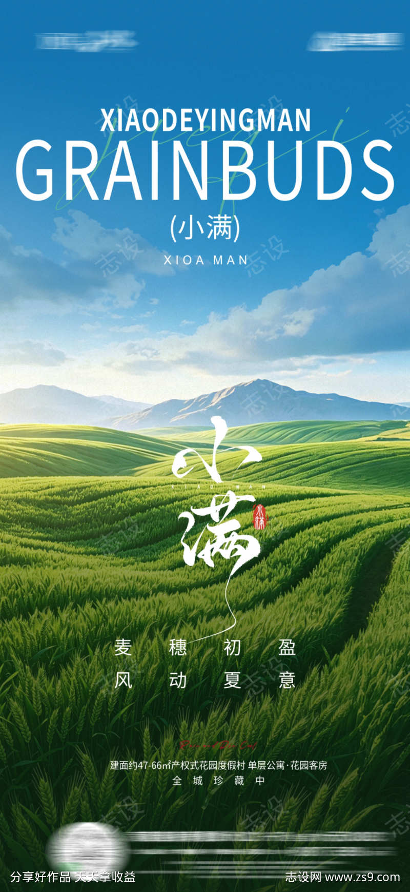 节气小满海报