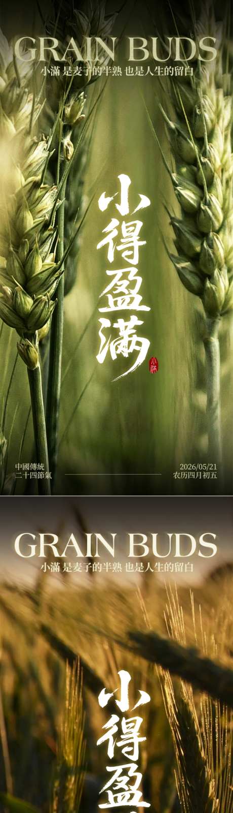 地产小满二十四节气海报_源文件下载_PSD格式_1024X2172像素-丰收,光影,农田-作品编号:2026051411163555-志.设˯网