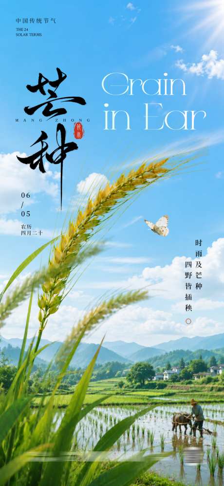 芒种节气海报_源文件下载_PSD格式_1024X2216像素-夏季,二十四节气,传统节气-作品编号:2026052311527823-志ˇ设˒网