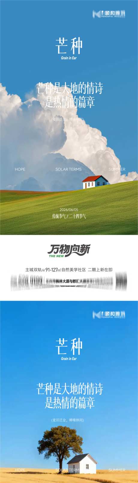 芒种二十四节气节日海报麦芒麦田