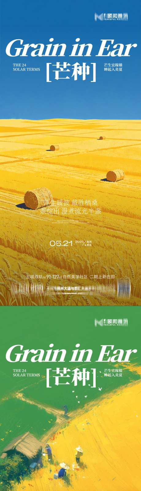 芒种二十四节气节日海报麦芒麦田