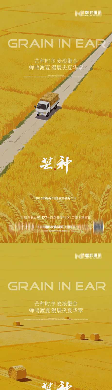 芒种二十四节气节日海报麦芒麦田