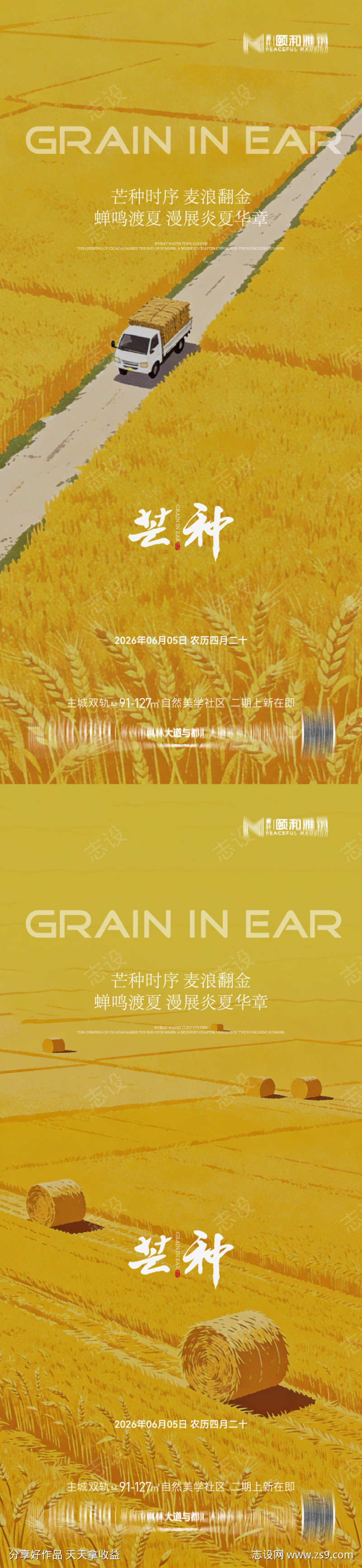 芒种二十四节气节日海报麦芒麦田