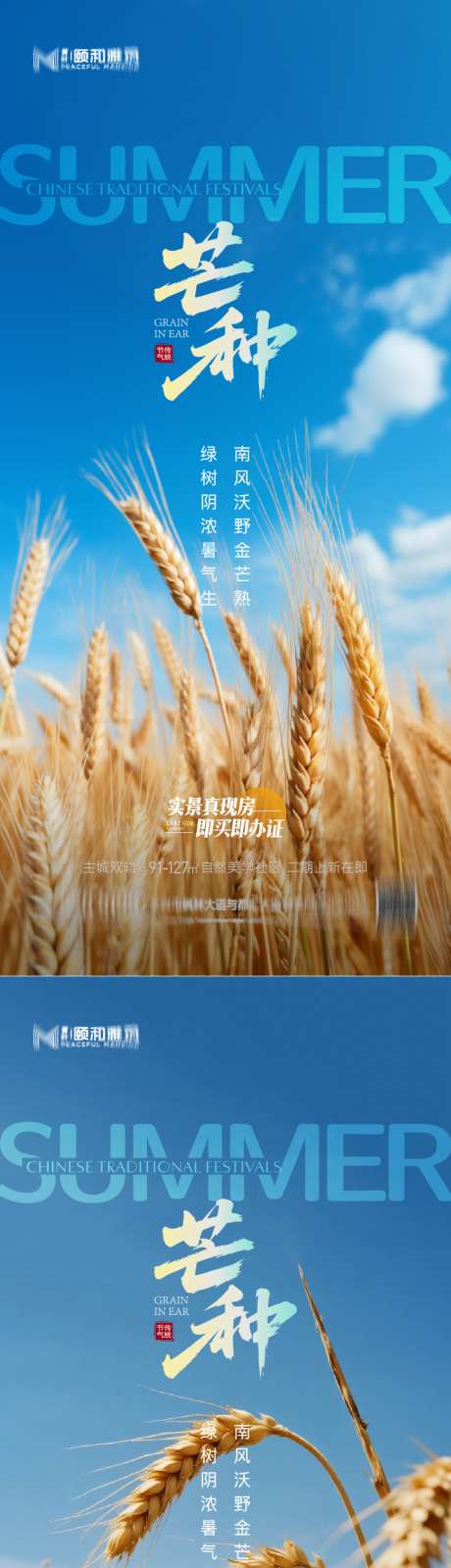 芒种二十四节气节日海报麦芒麦田