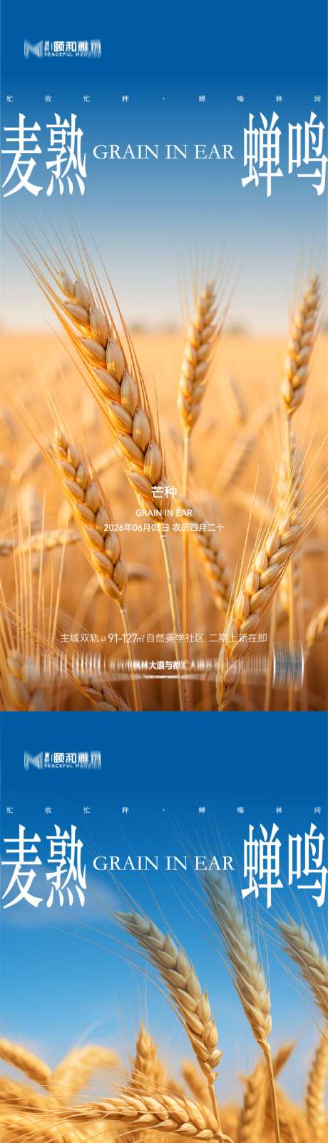 芒种二十四节气节日海报麦芒麦田
