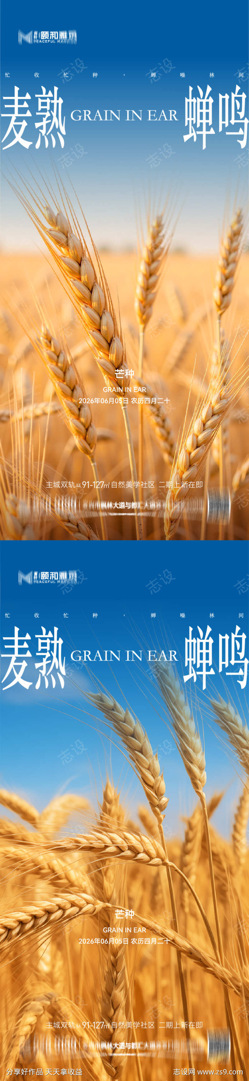 芒种二十四节气节日海报麦芒麦田