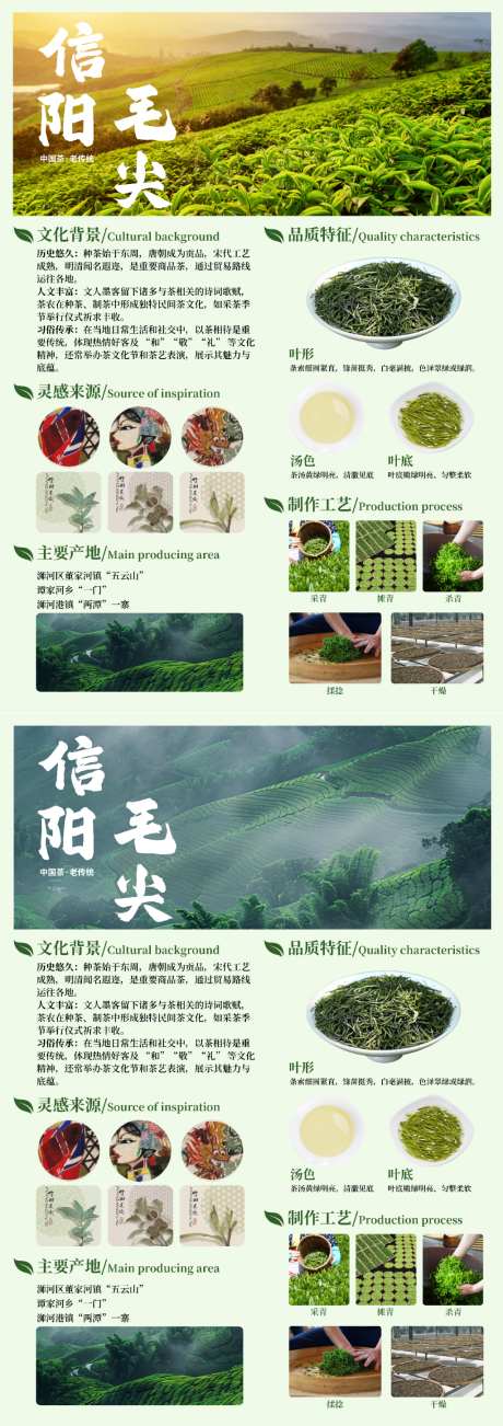 信阳毛尖宣传海报展板_源文件下载_PSD格式_1024X2898像素-设计,版式,古风-作品编号:2026052410429698-志ˆ设·网