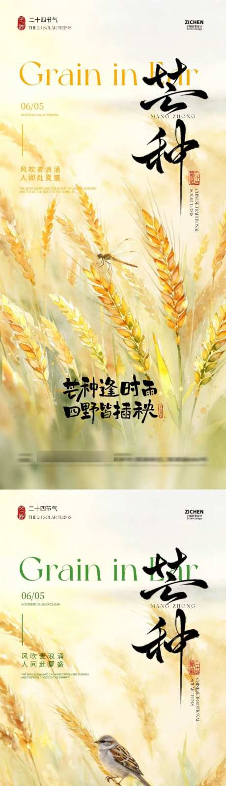 芒种节气水彩插画海报