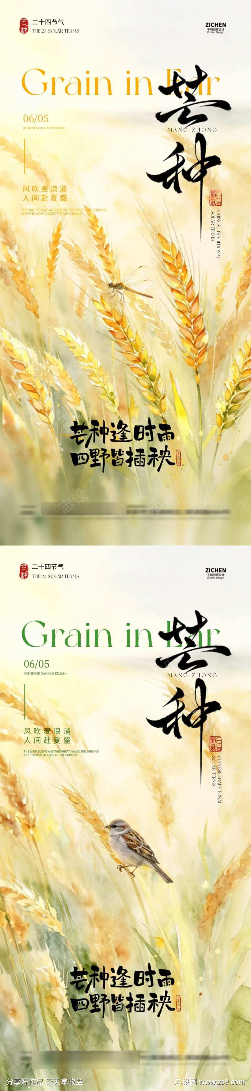 芒种节气水彩插画海报