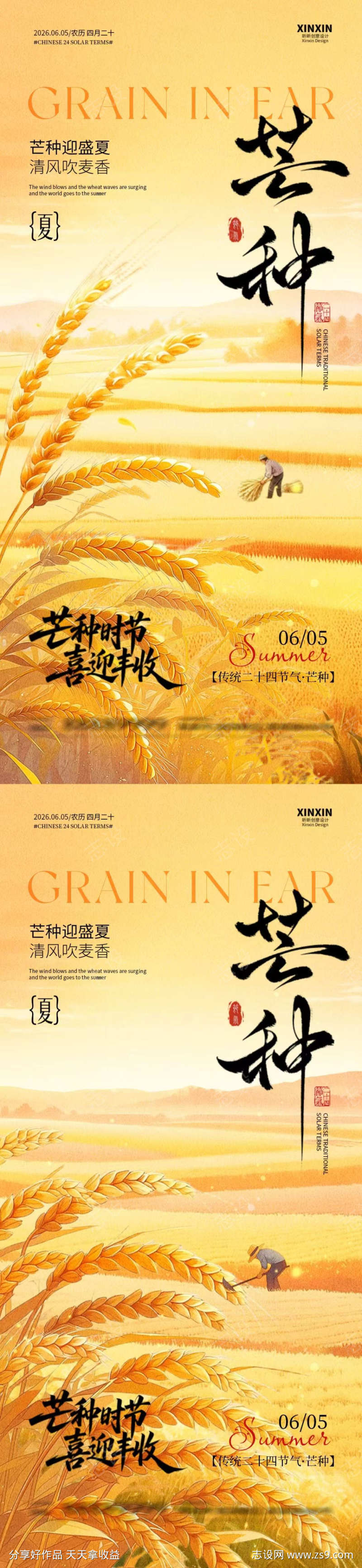 芒种节气简约意境海报