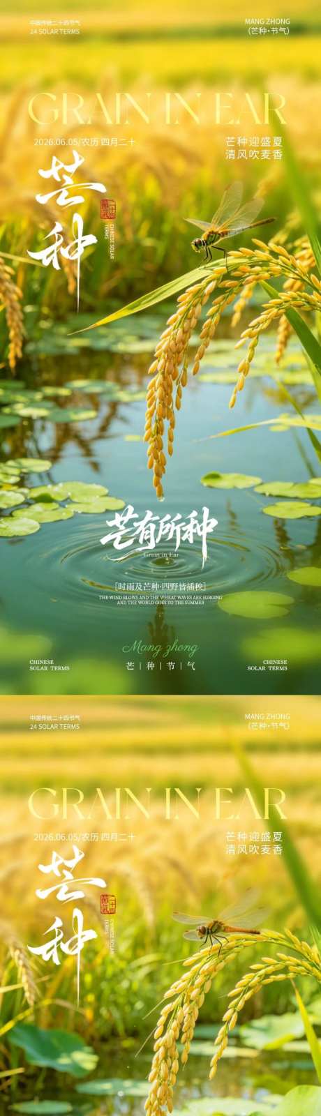 芒种节气简约海报_源文件下载_PSD格式_1024X4437像素-简约,蜻蜓,小麦-作品编号:2026052416412441-志˜设˜网