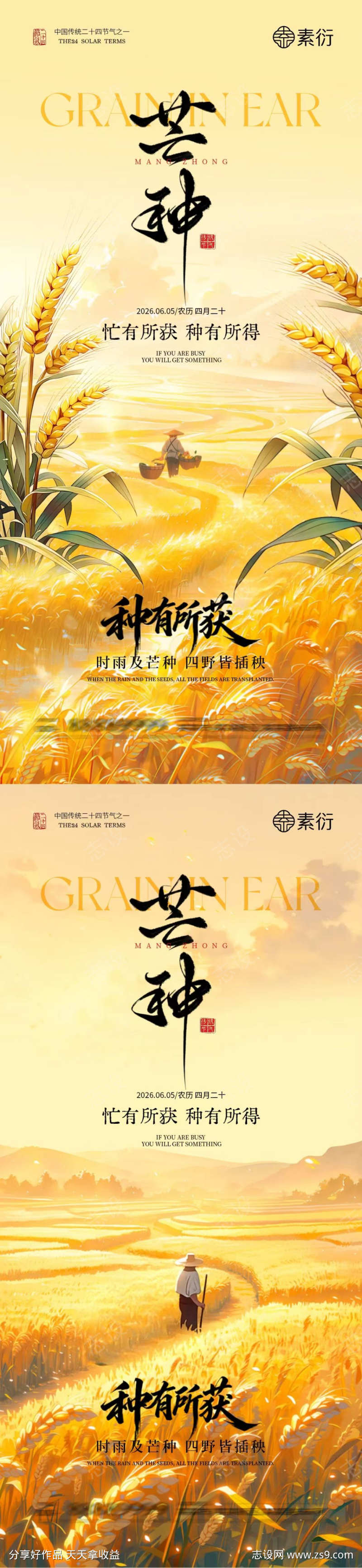 芒种节气海报