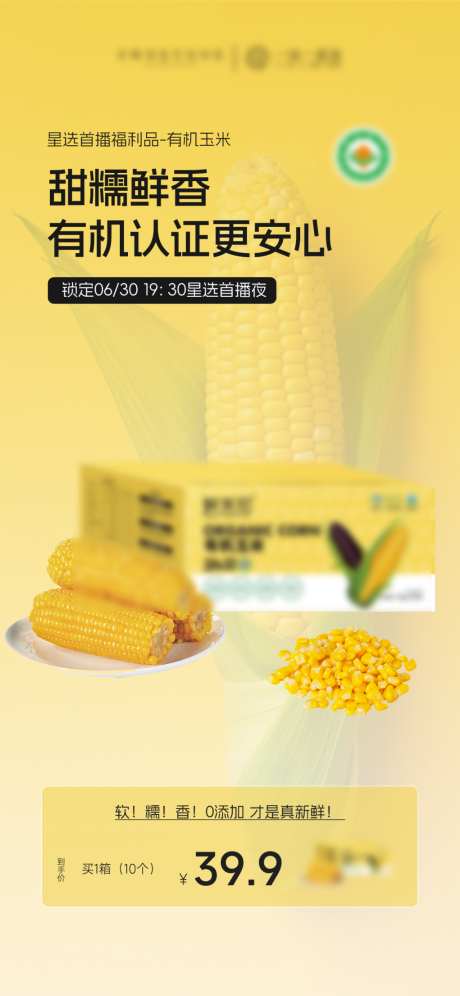 玉米产品价格海报_源文件下载_PSD格式_1024X2217像素-高级,有机,价格-作品编号:2025070317038461-志`设˙网