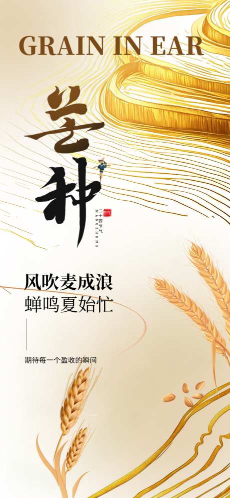 芒种二十四节气