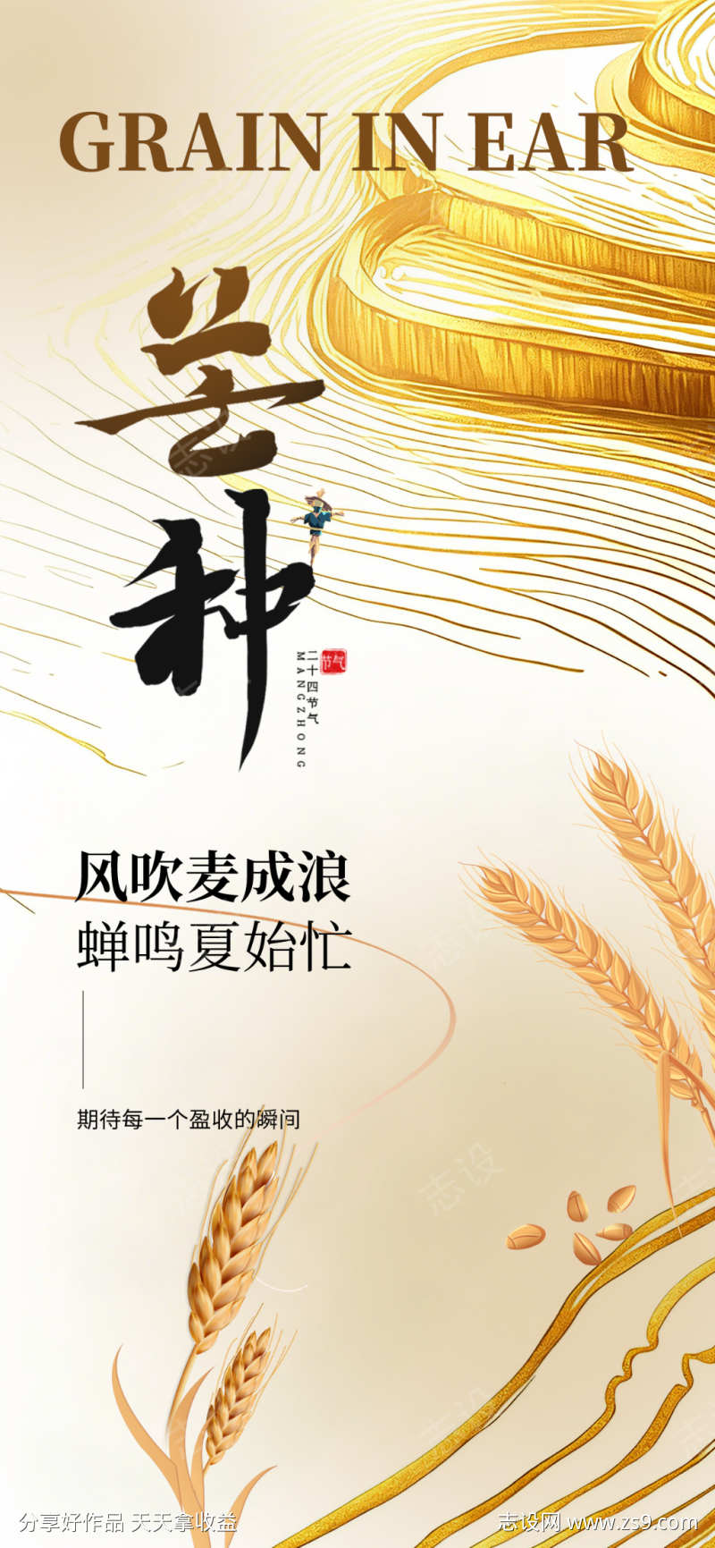 芒种二十四节气