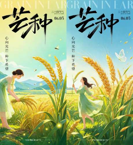 芒种节气海报
