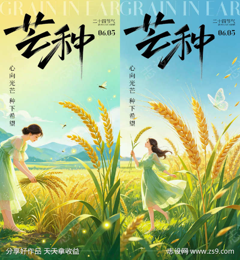 芒种节气海报