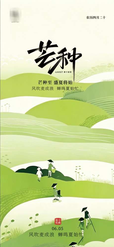 芒种节气海报