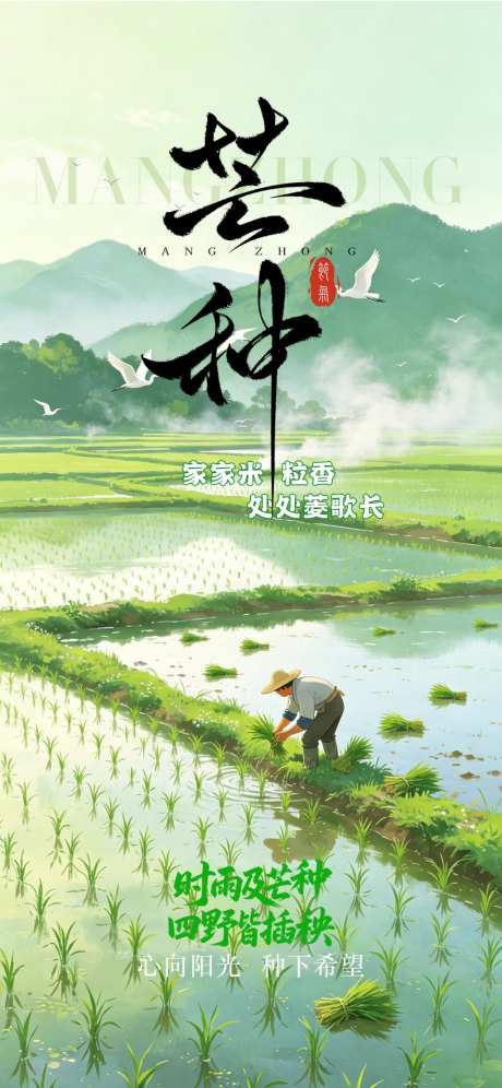 芒种节气海报