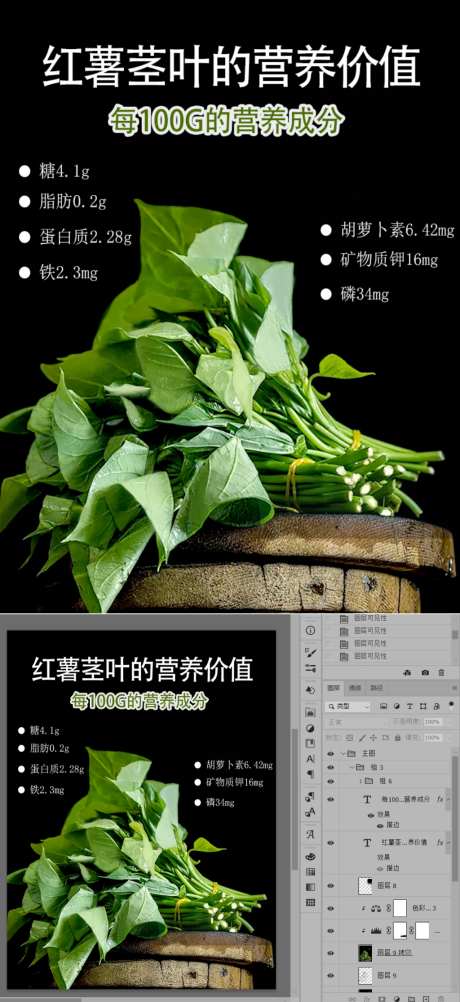 红薯茎叶嫩芽