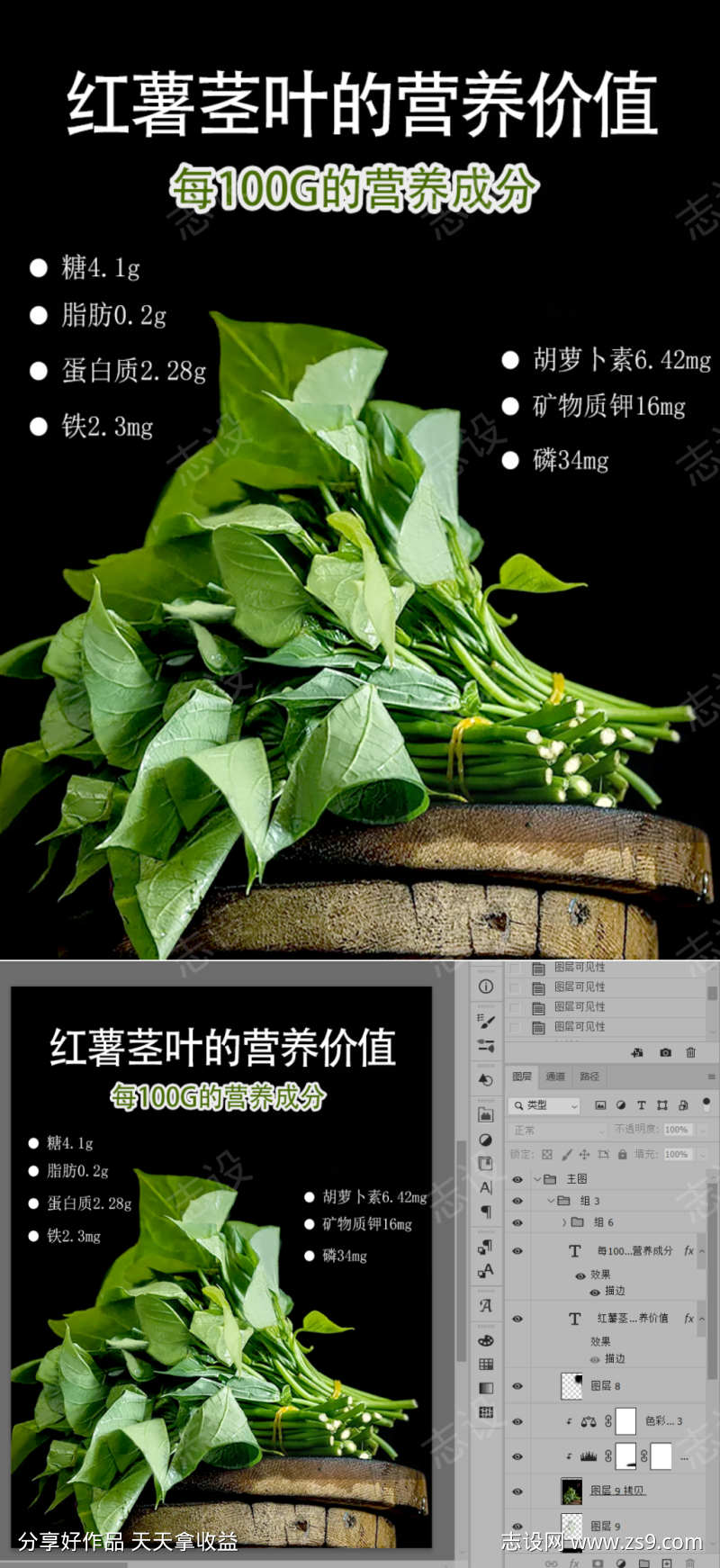 红薯茎叶嫩芽