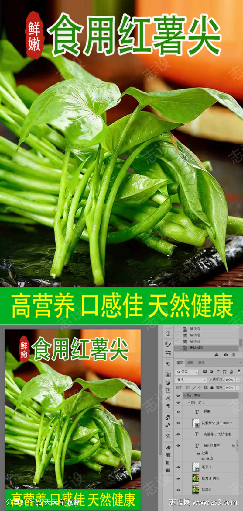 红薯茎叶嫩芽