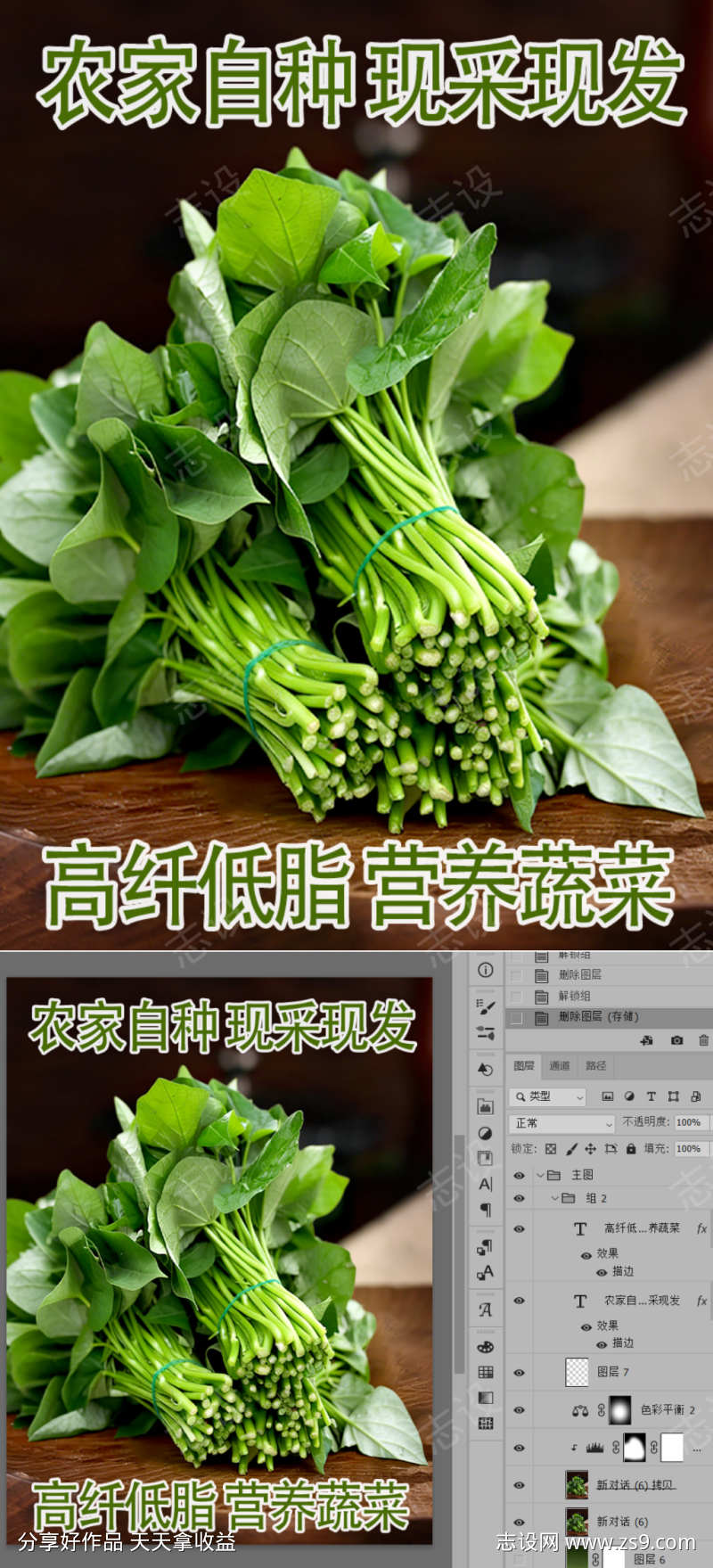 红薯茎叶嫩芽