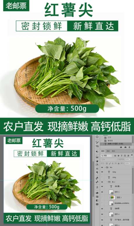 红薯茎叶嫩芽