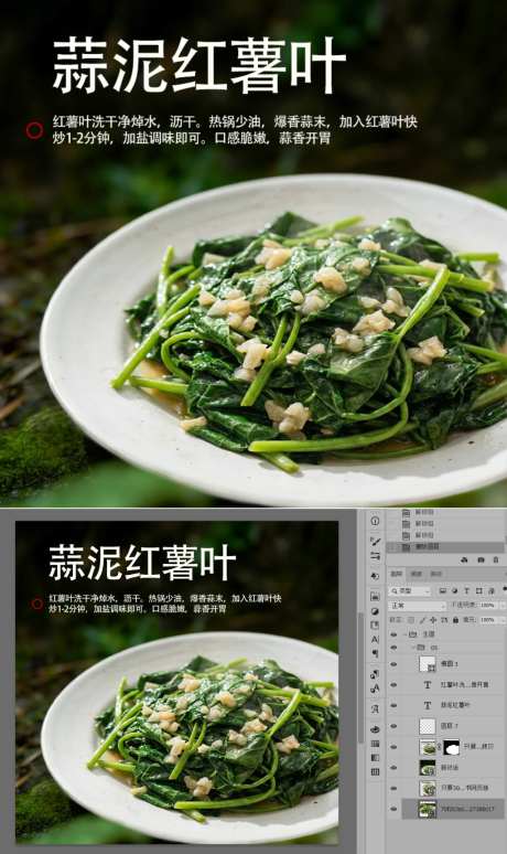 红薯茎叶嫩芽