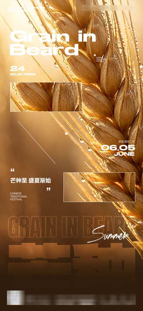 芒种节气丰收夏天