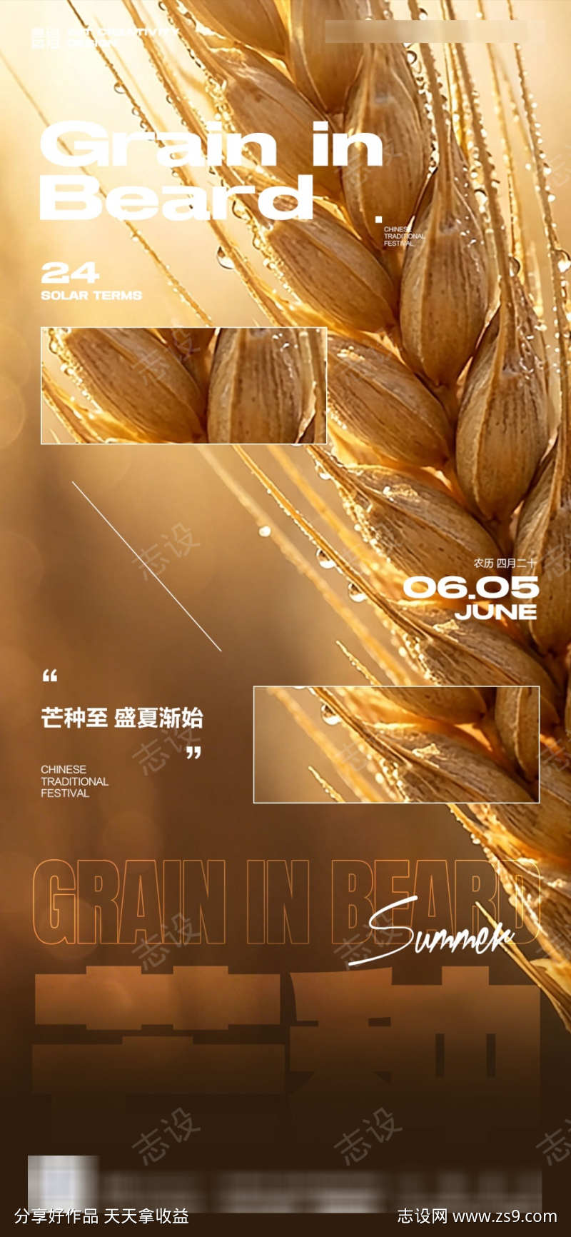 芒种节气丰收夏天