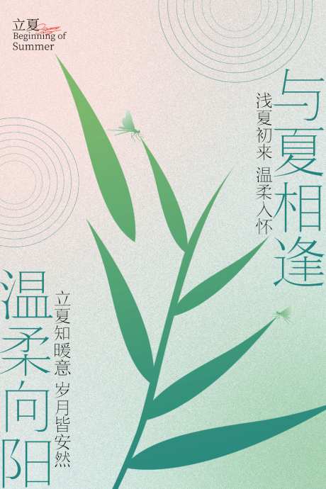 温柔向阳与夏相逢立夏节气海报