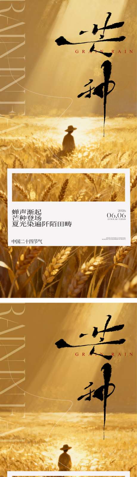 芒种节气海报