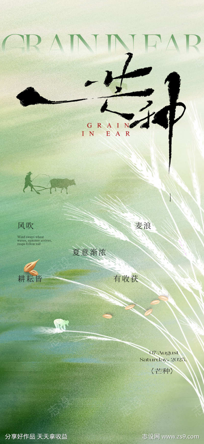 芒种节气海报