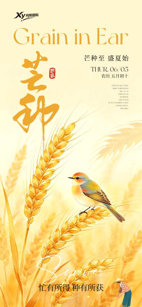 二十四节气芒种海报