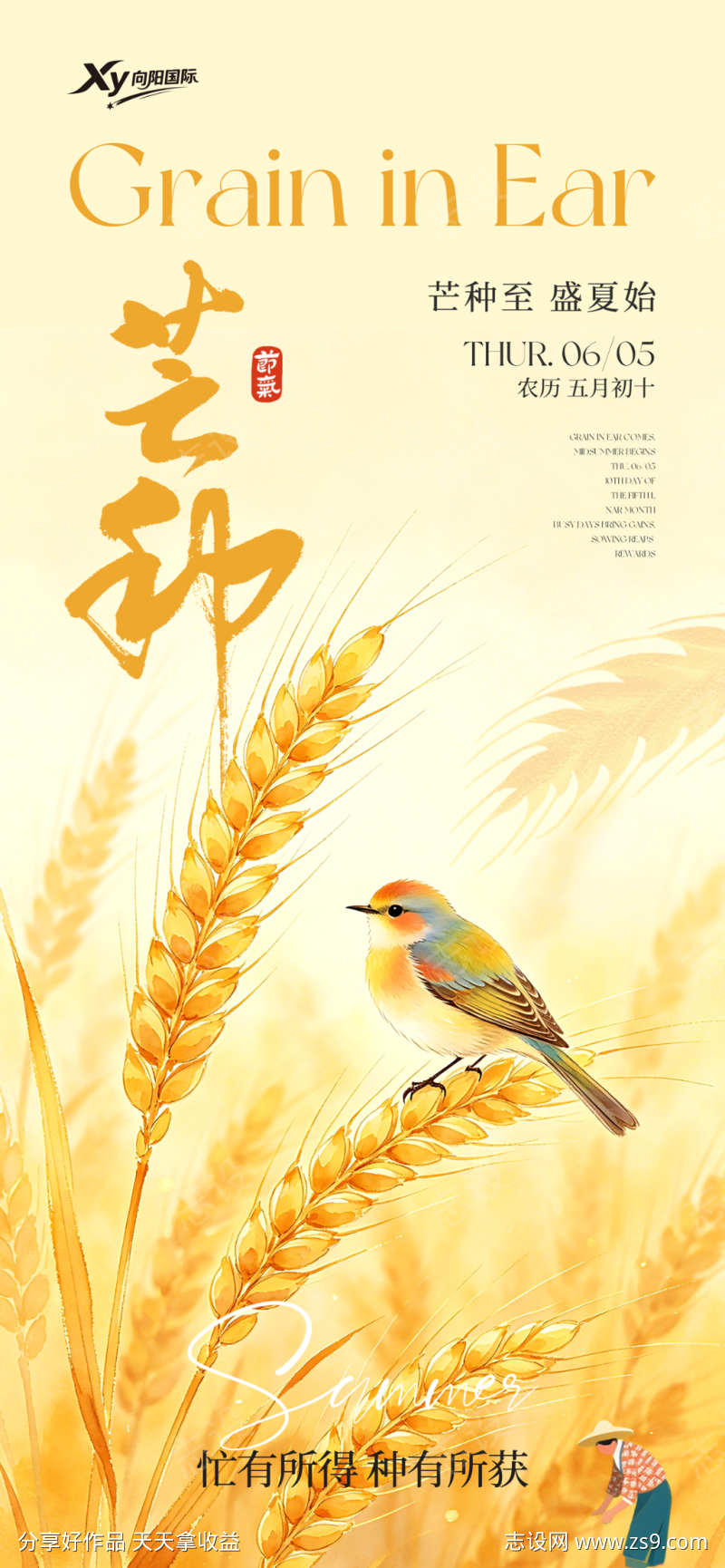 二十四节气芒种海报