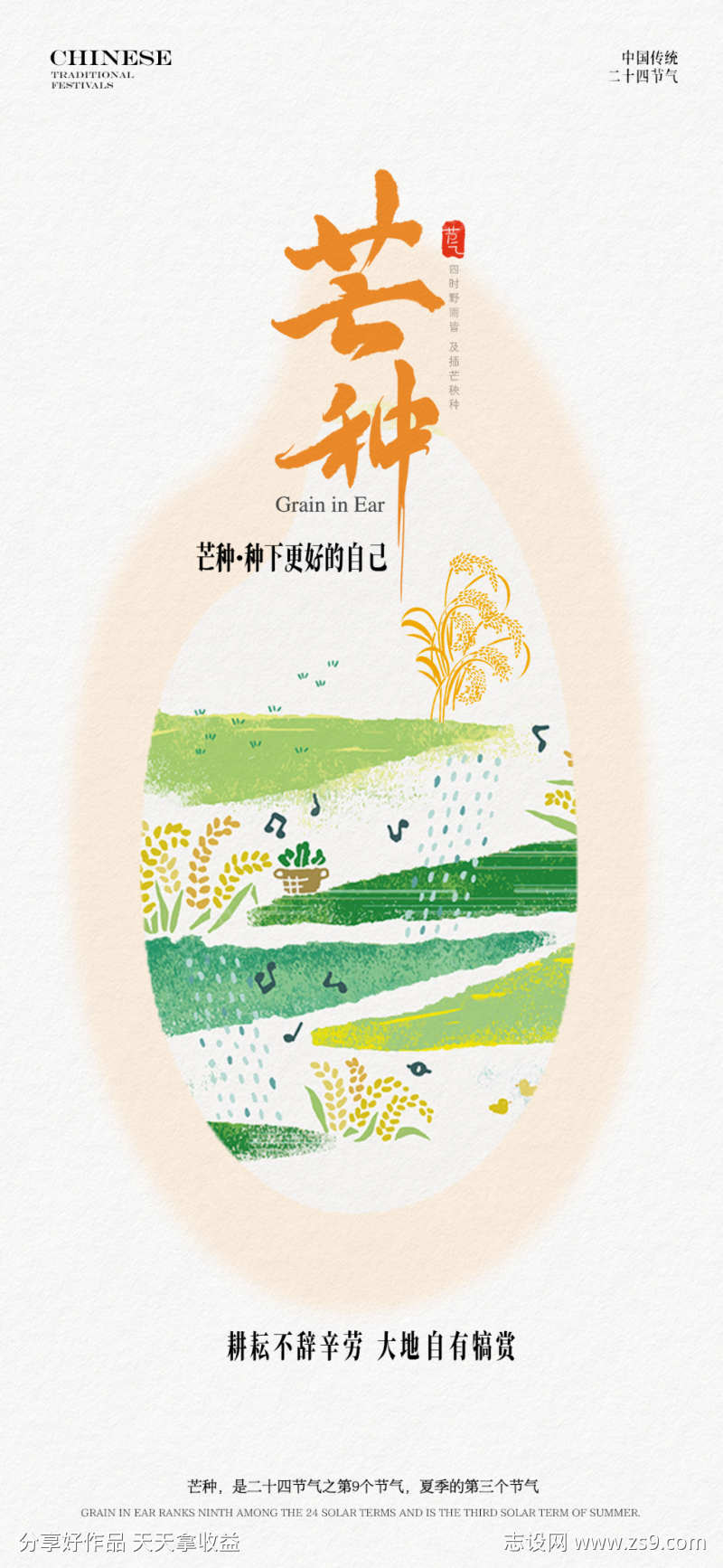 芒种节气海报