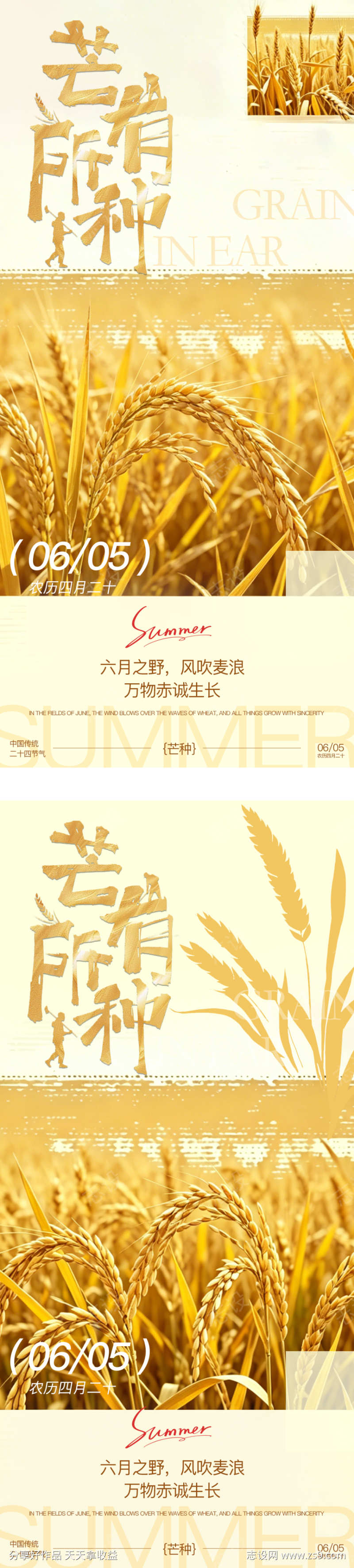 芒种节气海报