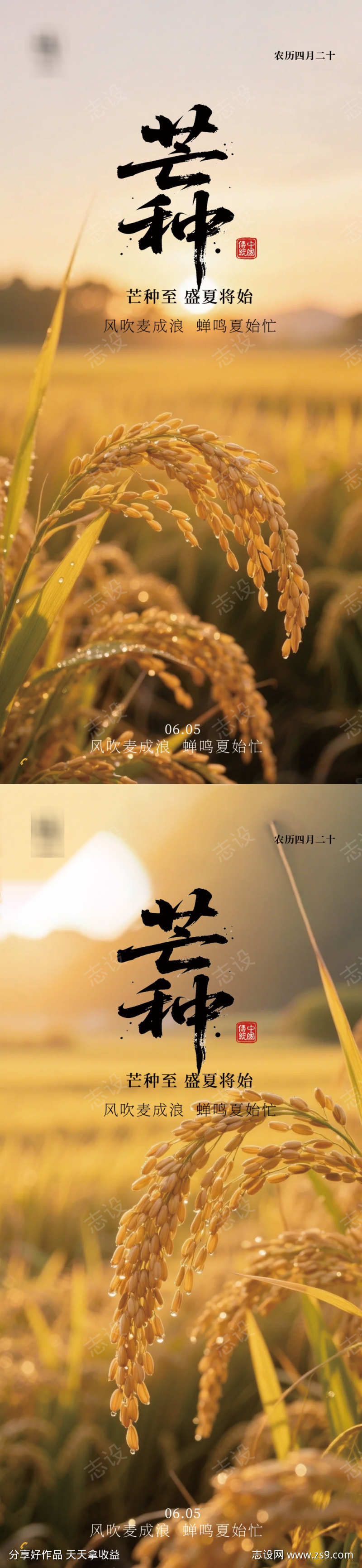 芒种节气海报