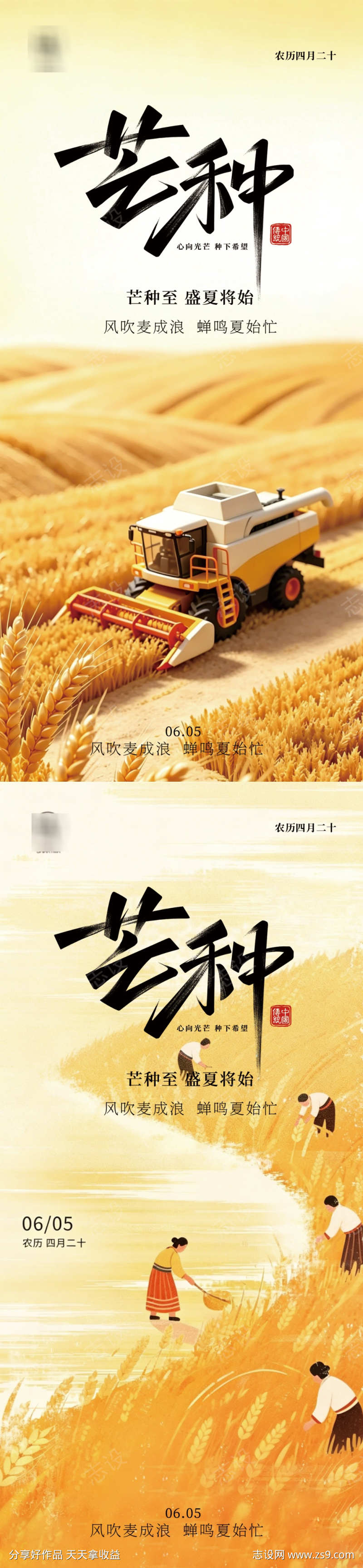 芒种节气海报