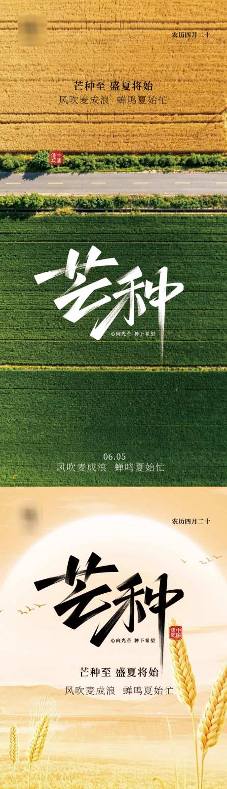 芒种节气海报