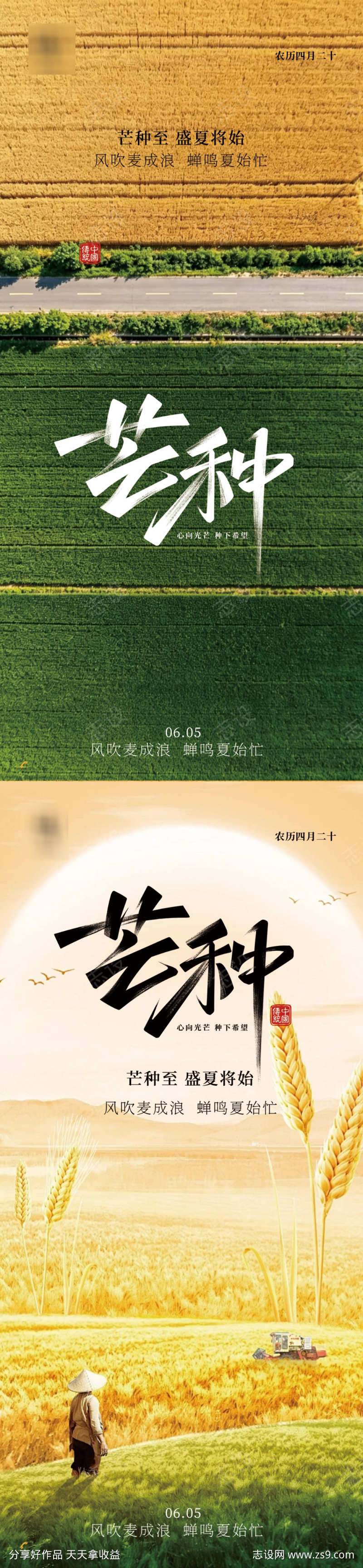 芒种节气海报