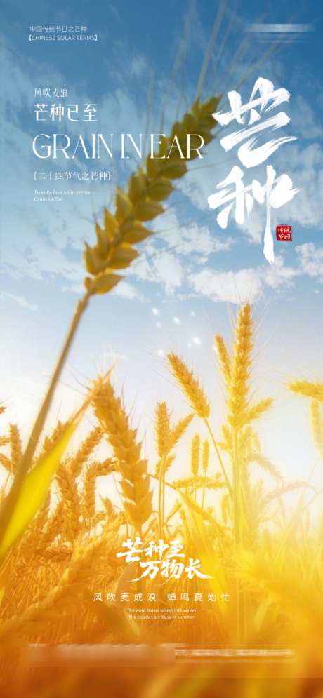 二十四节气芒种节气海报