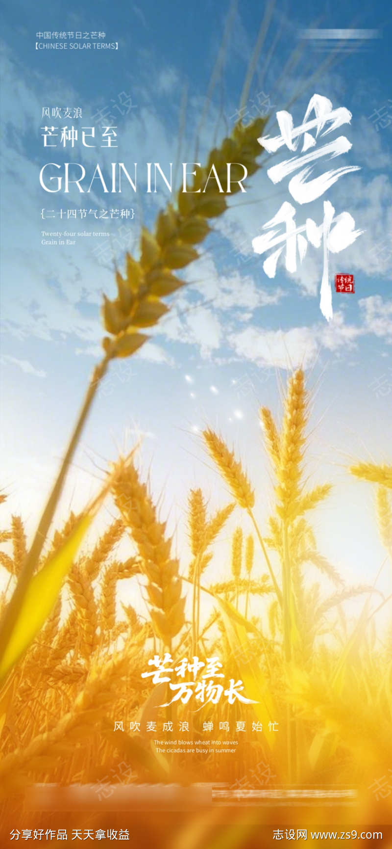 二十四节气芒种节气海报