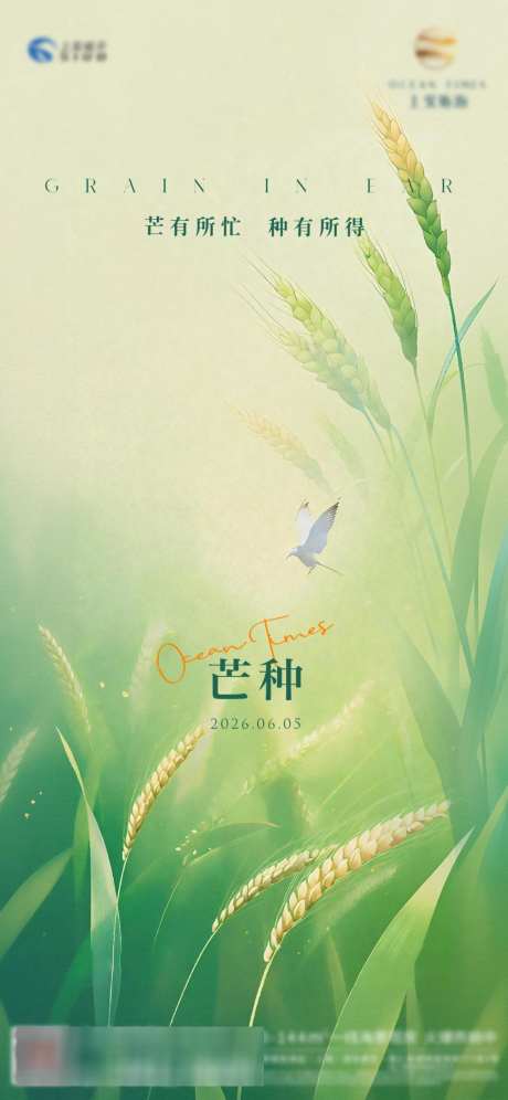 麦穗芒种海报