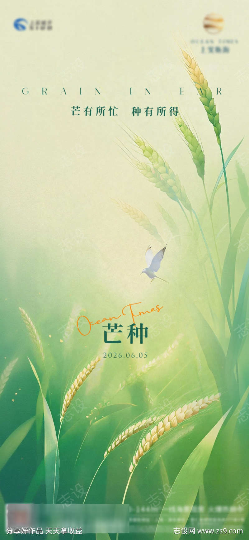 麦穗芒种海报