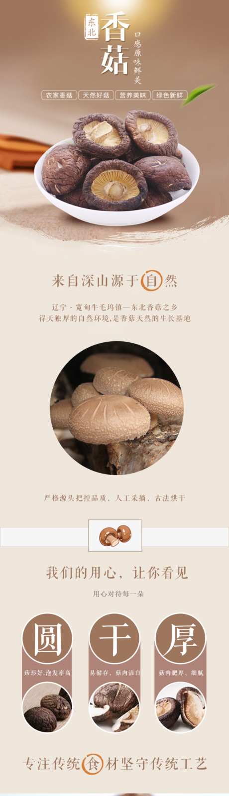 香菇详情页_源文件下载_PSD格式_1024X10268像素-蔬菜,详情页,简约-作品编号:2026061214164417-志˙设ʹ֣֤֚֫֗ׄ网