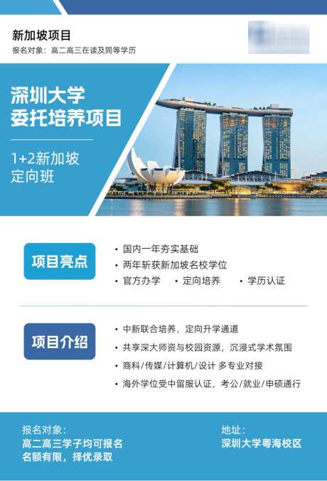 新加坡留学DM单页设计