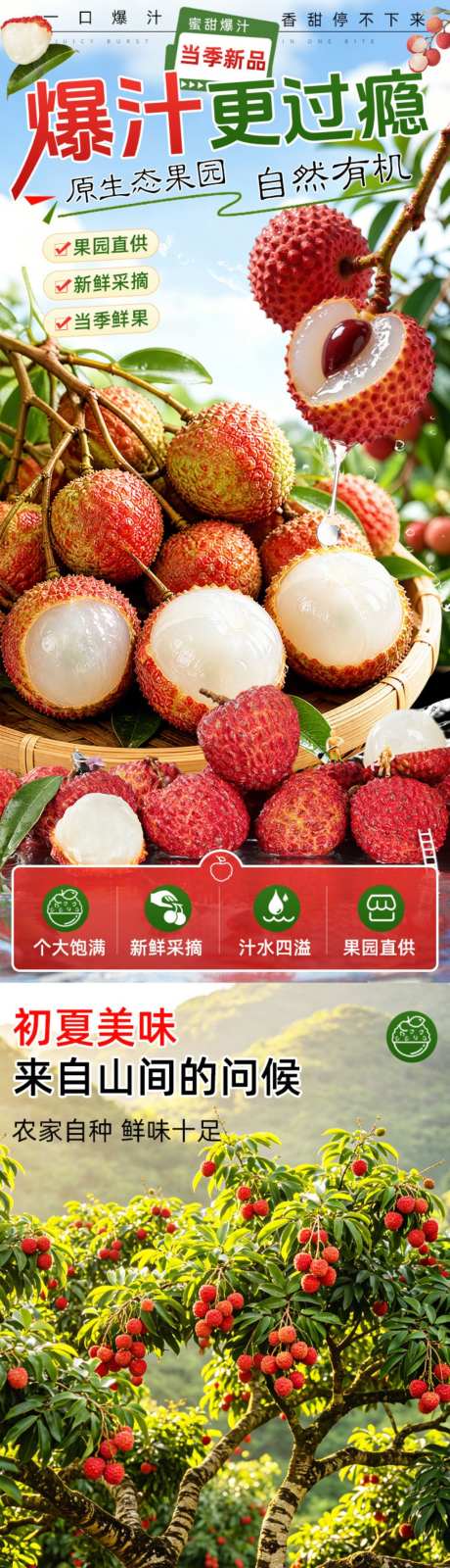 当季新品荔枝_源文件下载_PSD格式_1024X13449像素-商品,荔枝,详情-作品编号:2026061311438998-志ˌ设·网